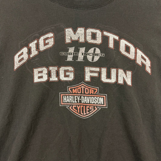 Harley Davidson Beartooth Billings Montana Black Graphic Tee