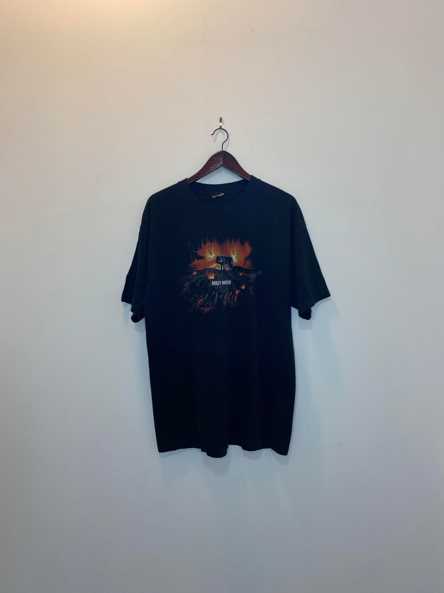 Harley Davidson x Wolf, Eagle, & Volcano Nature Calgary Alberta, Canada Black Graphic Tee - XL (Cut Tag)