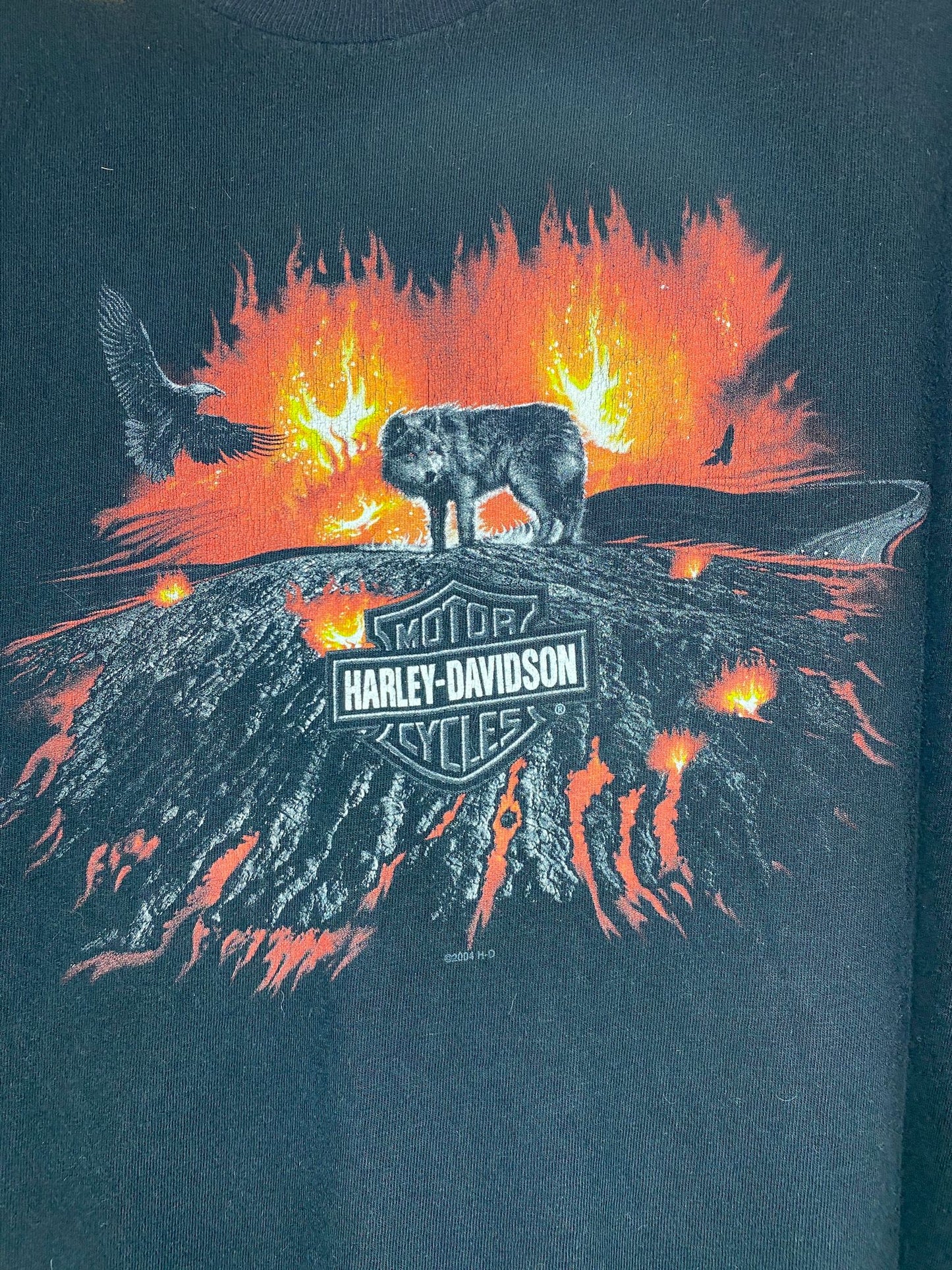 Harley Davidson x Wolf, Eagle, & Volcano Nature Calgary Alberta, Canada Black Graphic Tee - XL (Cut Tag)