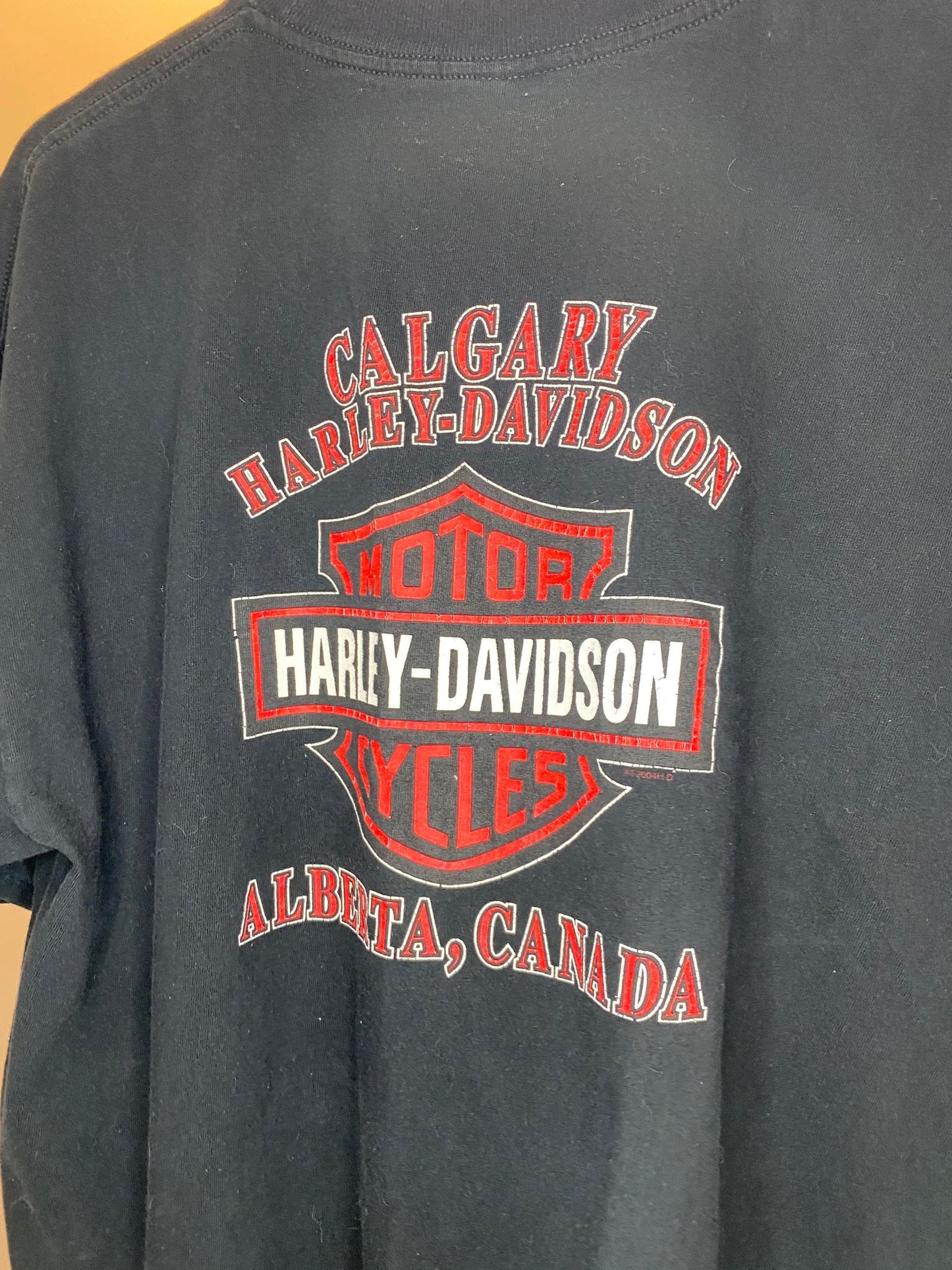 Harley Davidson x Wolf, Eagle, & Volcano Nature Calgary Alberta, Canada Black Graphic Tee - XL (Cut Tag)