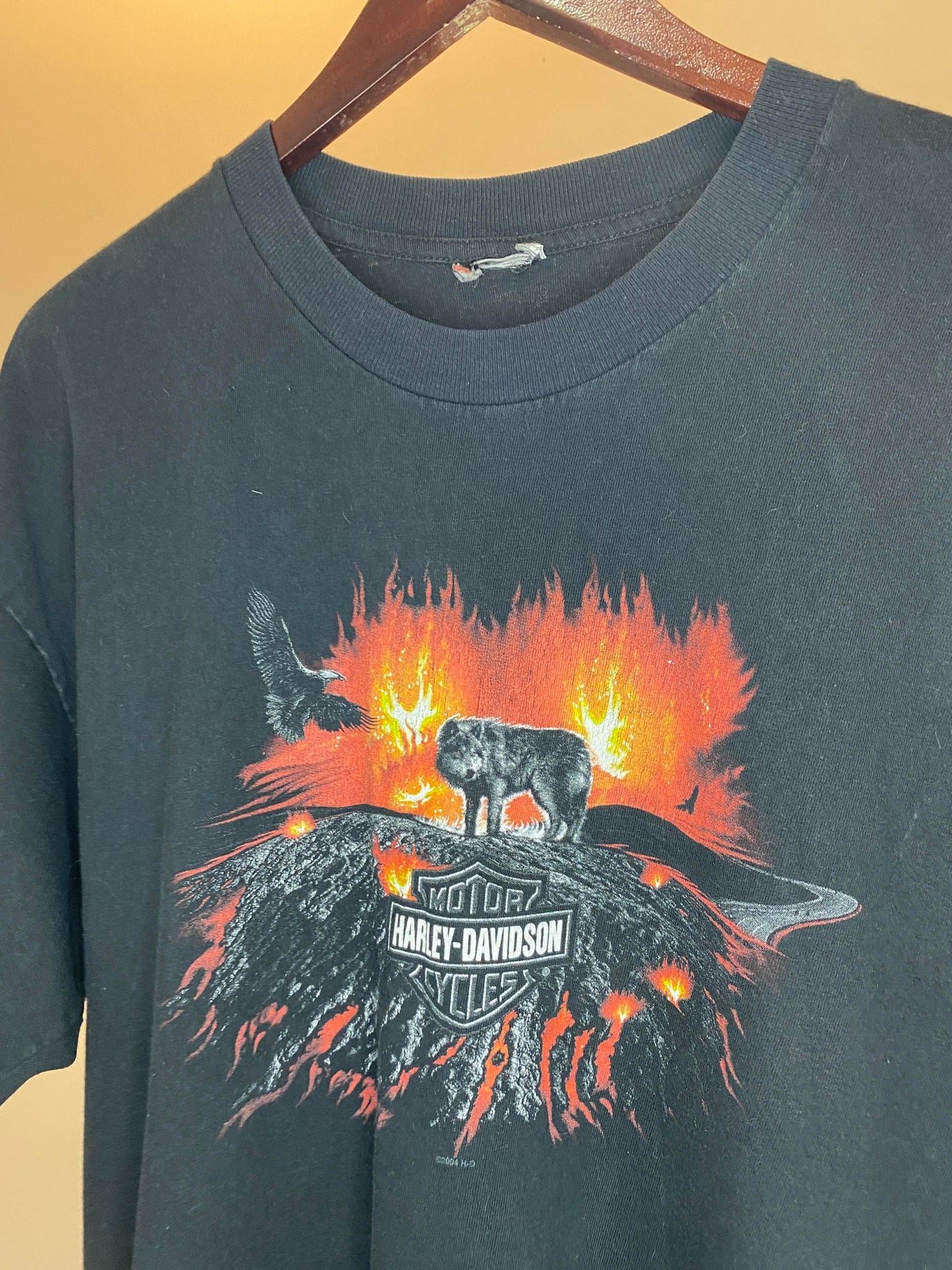 Harley Davidson x Wolf, Eagle, & Volcano Nature Calgary Alberta, Canada Black Graphic Tee - XL (Cut Tag)