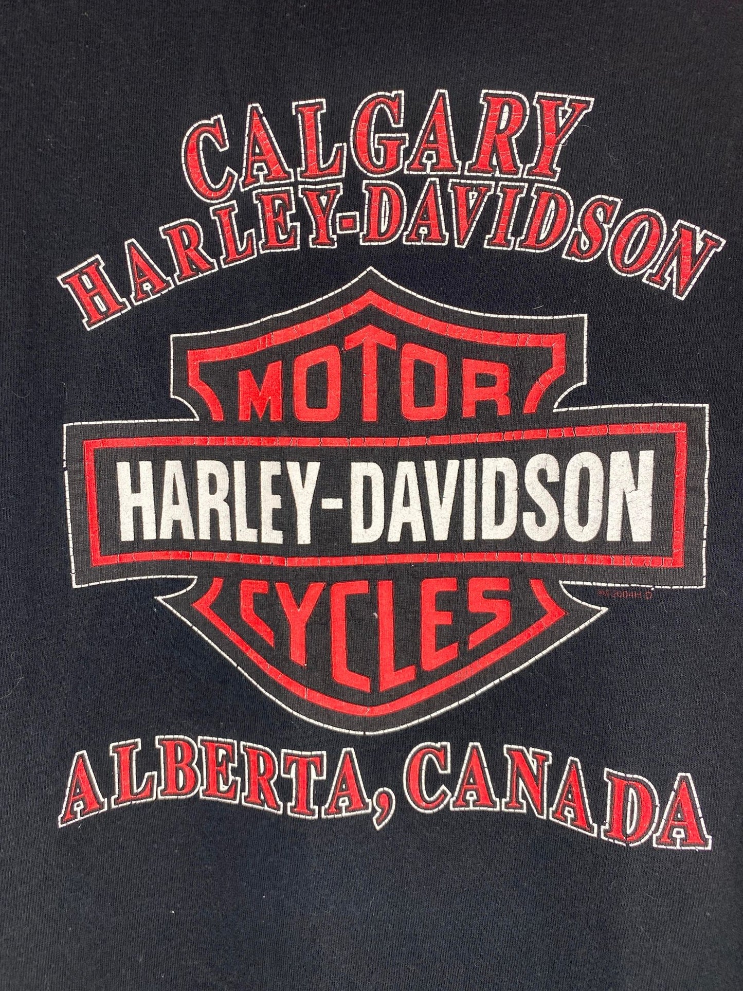 Harley Davidson x Wolf, Eagle, & Volcano Nature Calgary Alberta, Canada Black Graphic Tee - XL (Cut Tag)