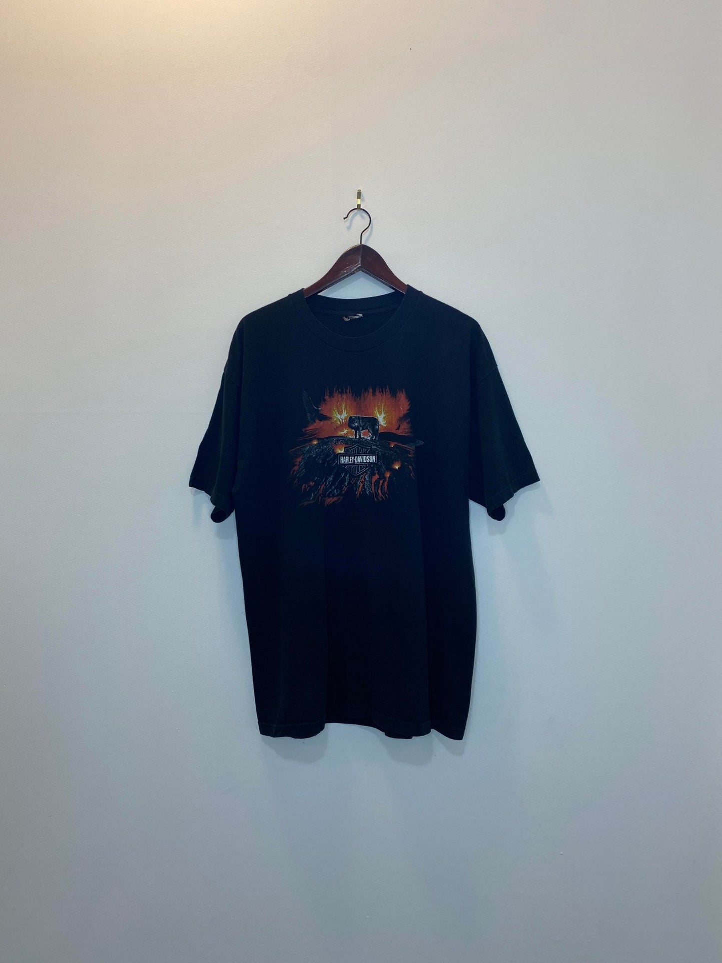 Harley Davidson x Wolf, Eagle, & Volcano Nature Calgary Alberta, Canada Black Graphic Tee - XL (Cut Tag)