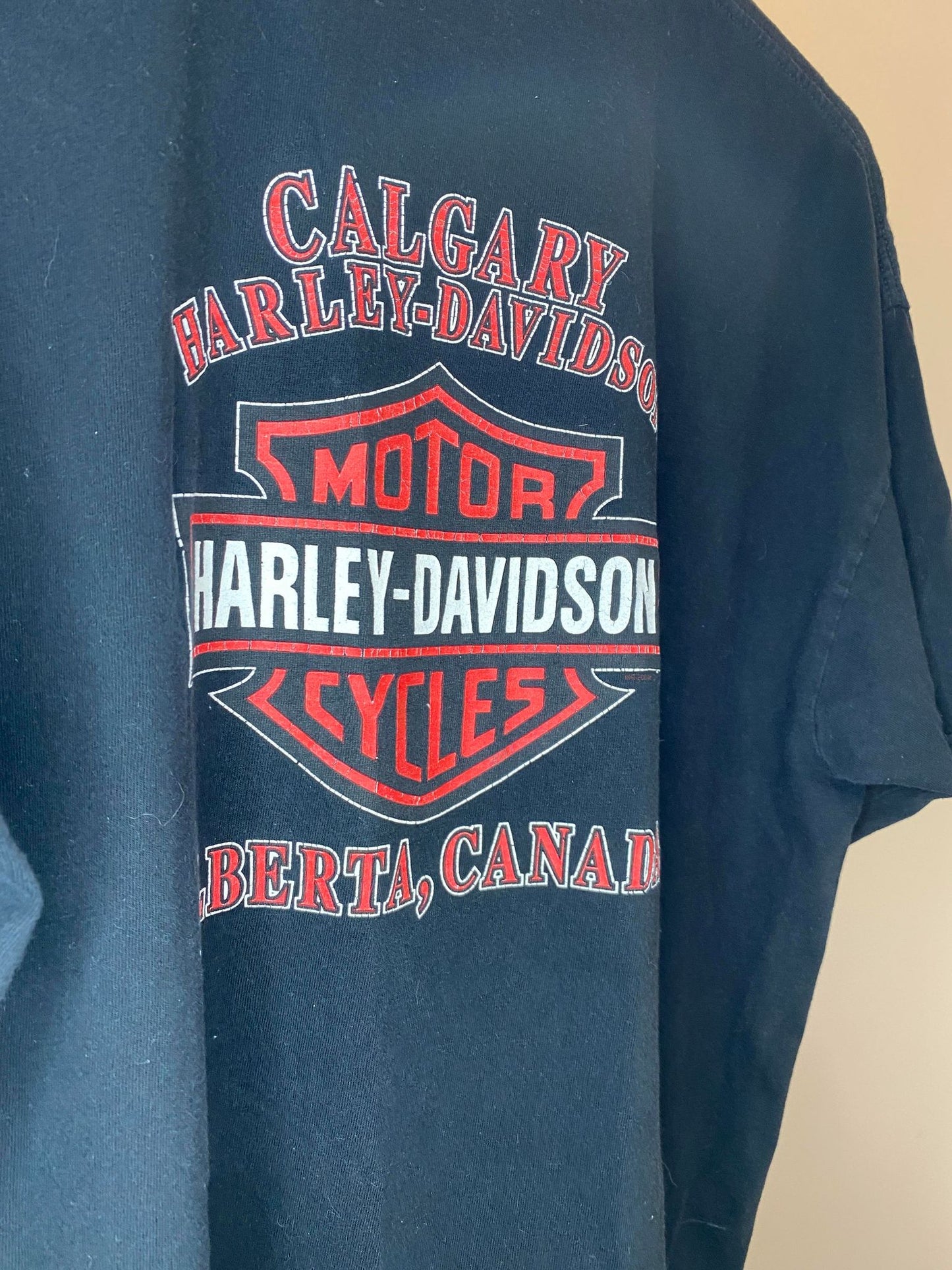 Harley Davidson x Wolf, Eagle, & Volcano Nature Calgary Alberta, Canada Black Graphic Tee - XL (Cut Tag)