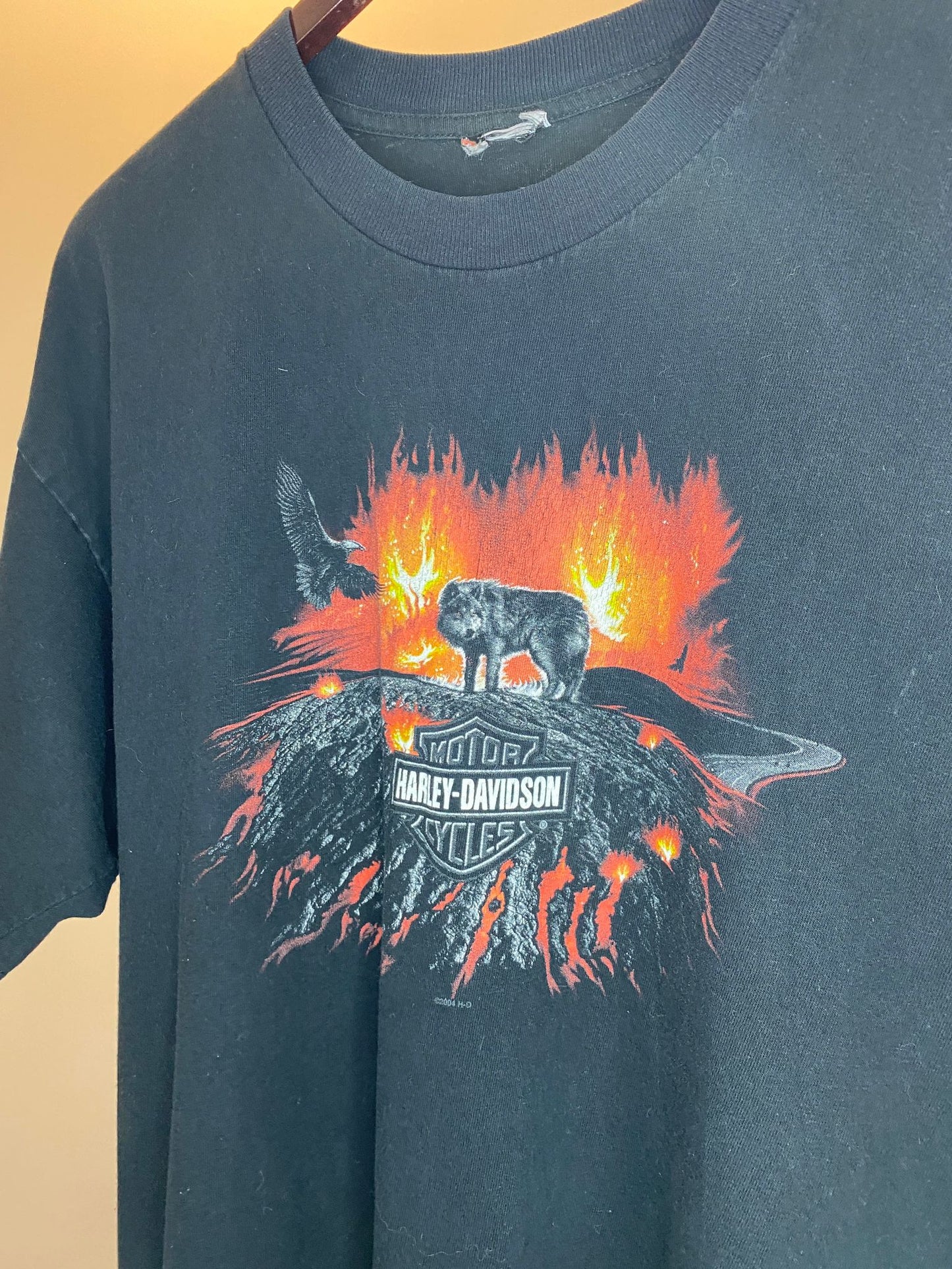 Harley Davidson x Wolf, Eagle, & Volcano Nature Calgary Alberta, Canada Black Graphic Tee - XL (Cut Tag)