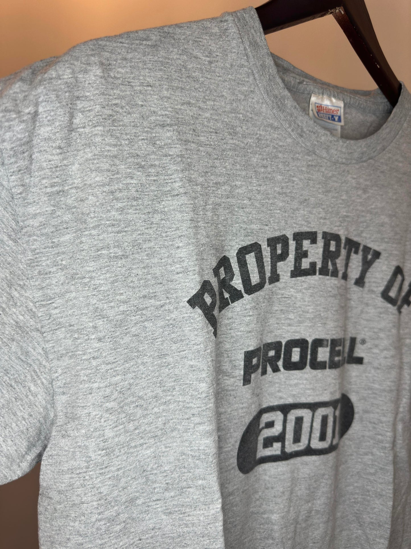 VTG x HANES x PROCELL x Grey 2001 "Property of PROCELL" Graphic Tee - L