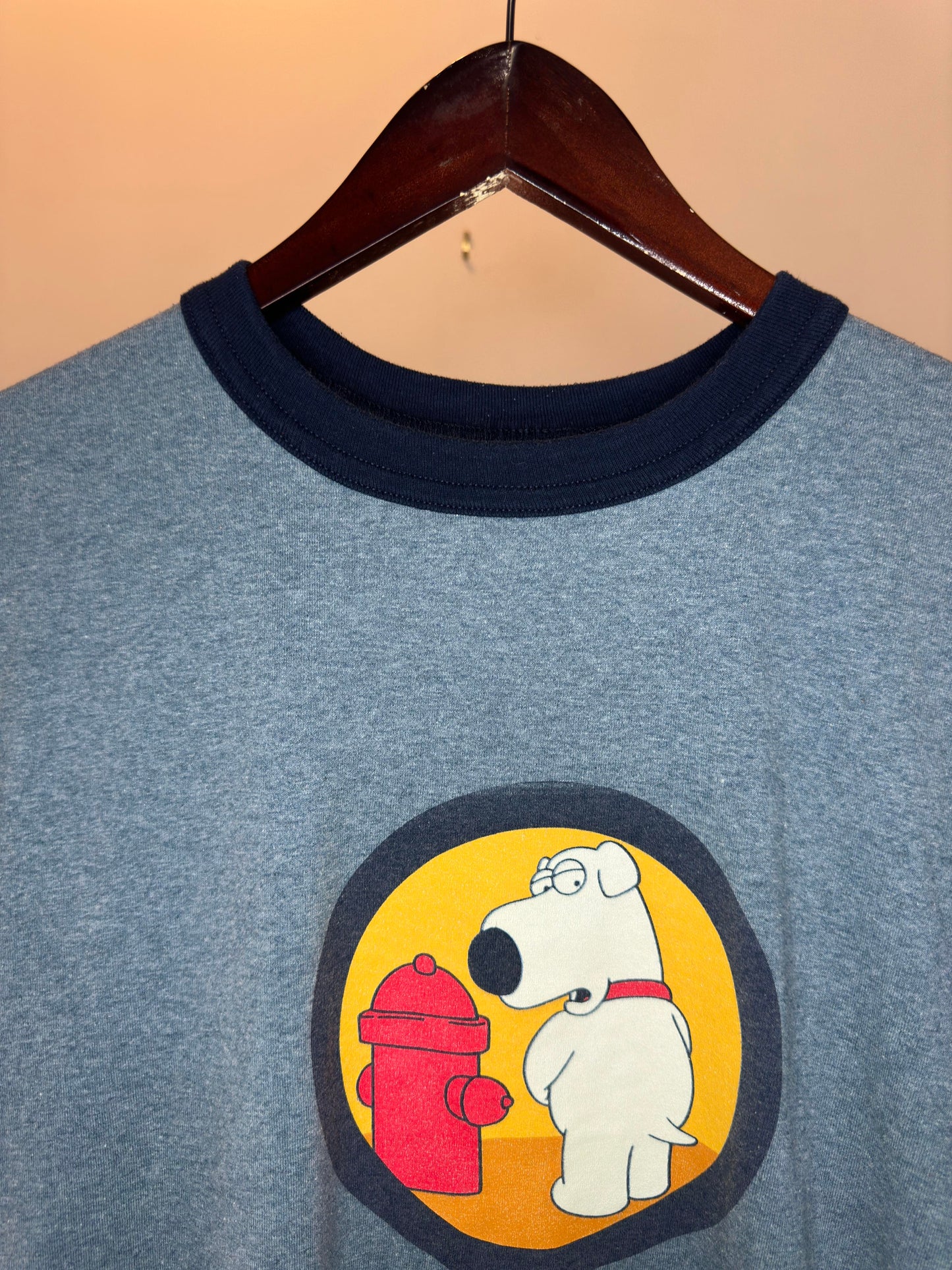 VTG x CHANGES x Family Guy x Brian "Do You Mind" Blue Ringer Tee - S