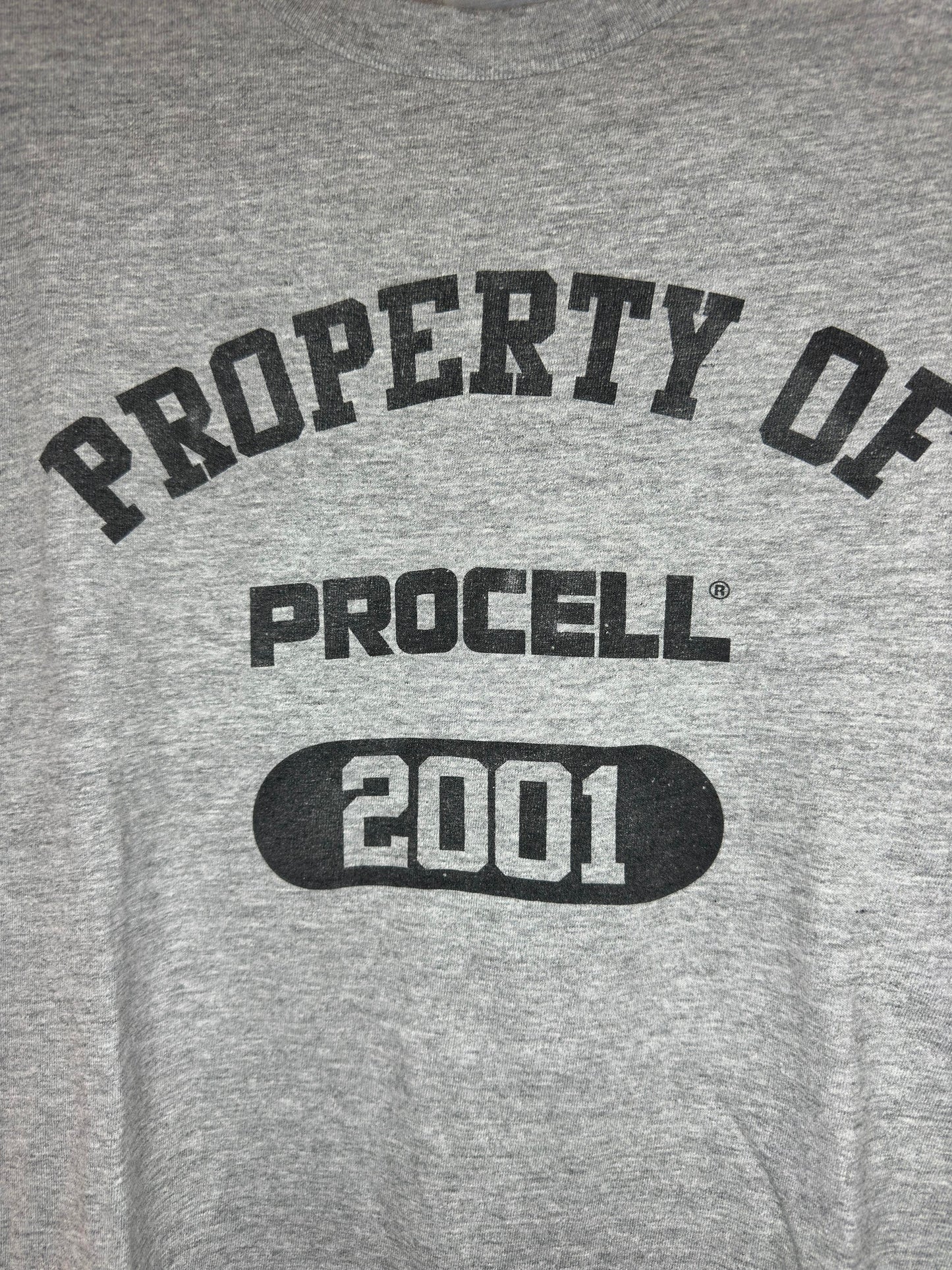 VTG x HANES x PROCELL x Grey 2001 "Property of PROCELL" Graphic Tee - L