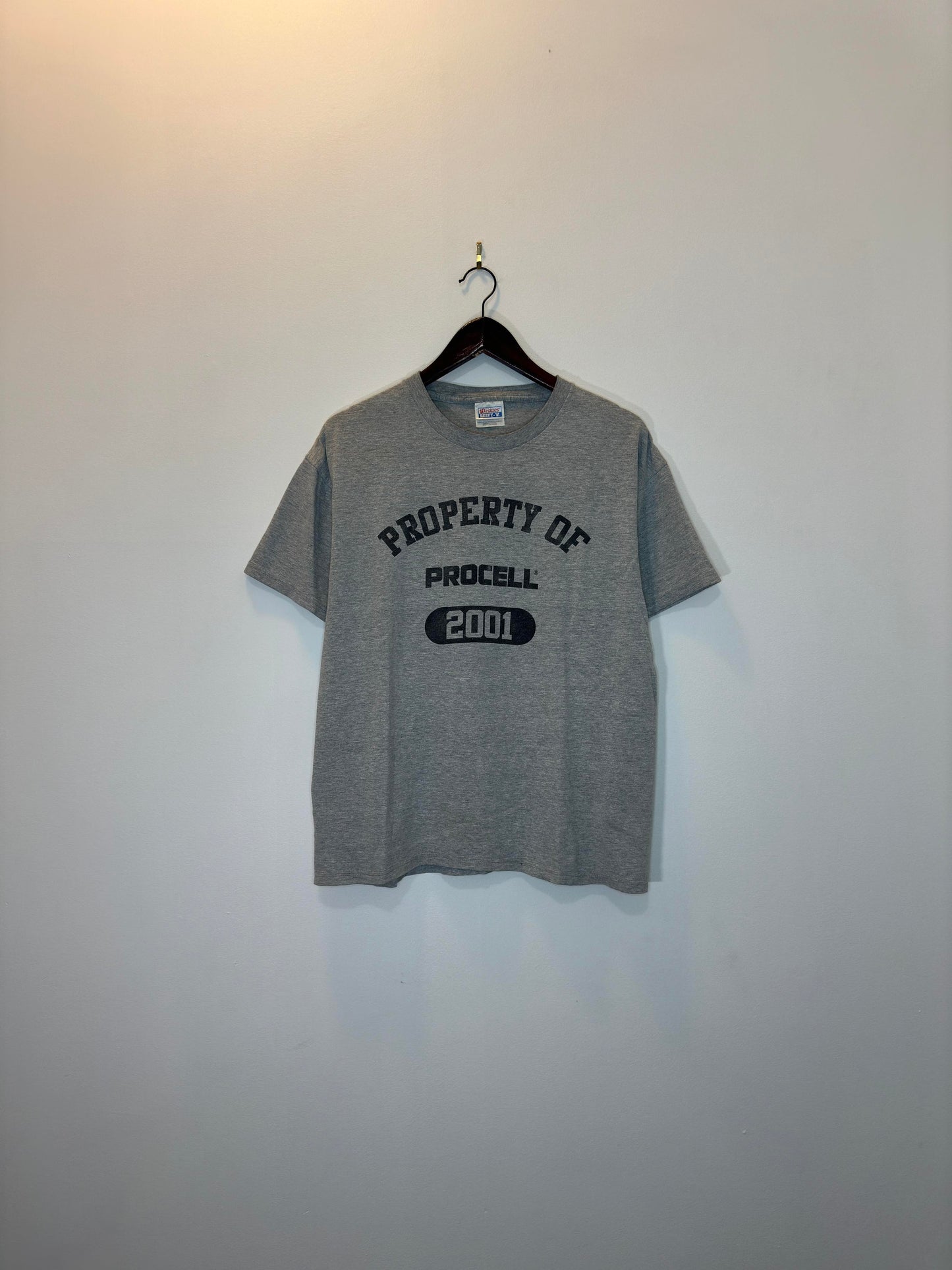 VTG x HANES x PROCELL x Grey 2001 "Property of PROCELL" Graphic Tee - L