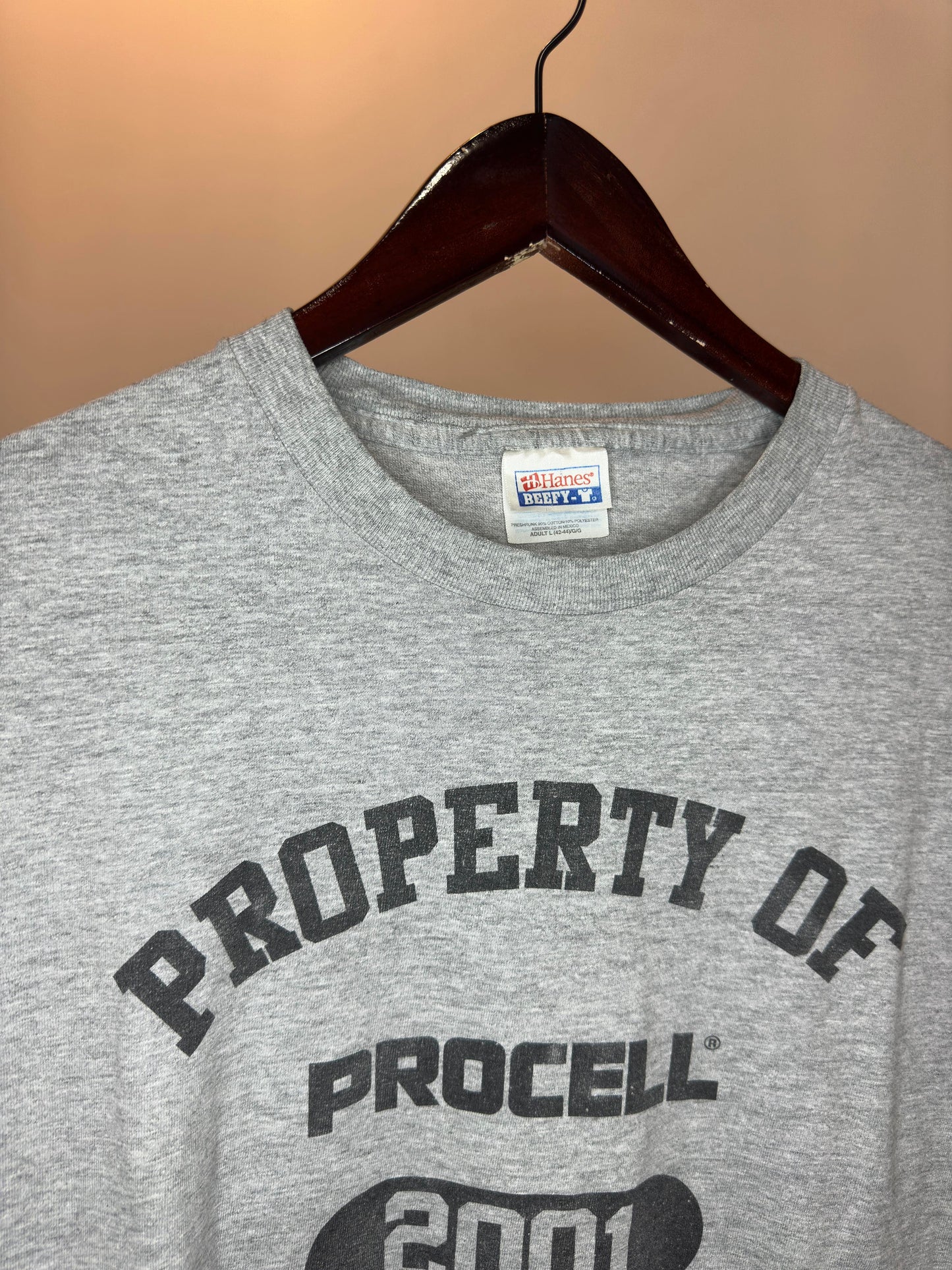 VTG x HANES x PROCELL x Grey 2001 "Property of PROCELL" Graphic Tee - L