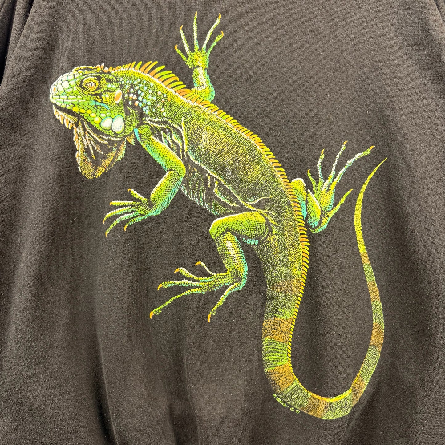 Harlequin Lizard Graphic Sweatshirt