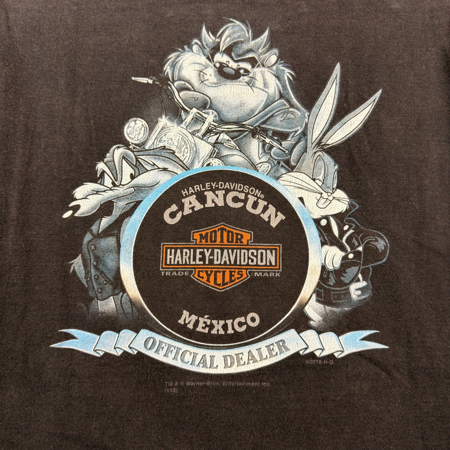 Vintage Harley Davidson Warner Bros Looney Tunes Tasmanian Devil Graphic Shirt