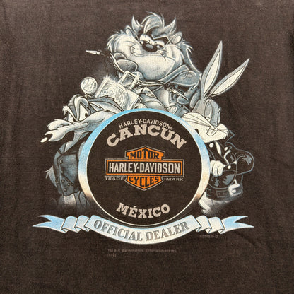 Vintage Harley Davidson Warner Bros Looney Tunes Tasmanian Devil Graphic Shirt