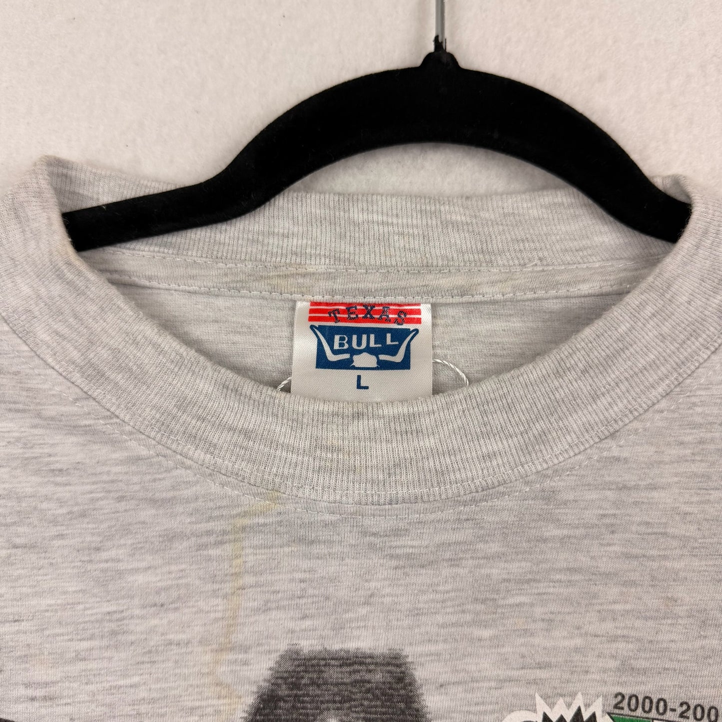 Vintage Texas Bull Asiago Hockey Italia Champion Grey Graphic Tee