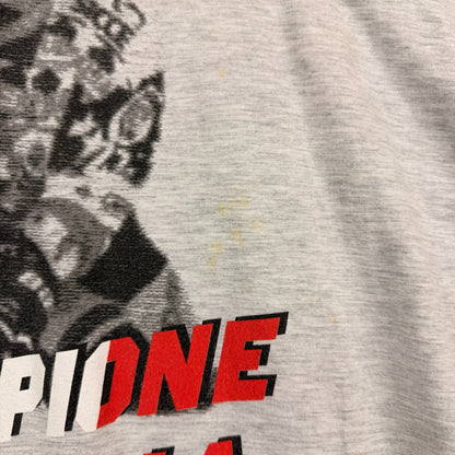 Vintage Texas Bull Asiago Hockey Italia Champion Grey Graphic Tee